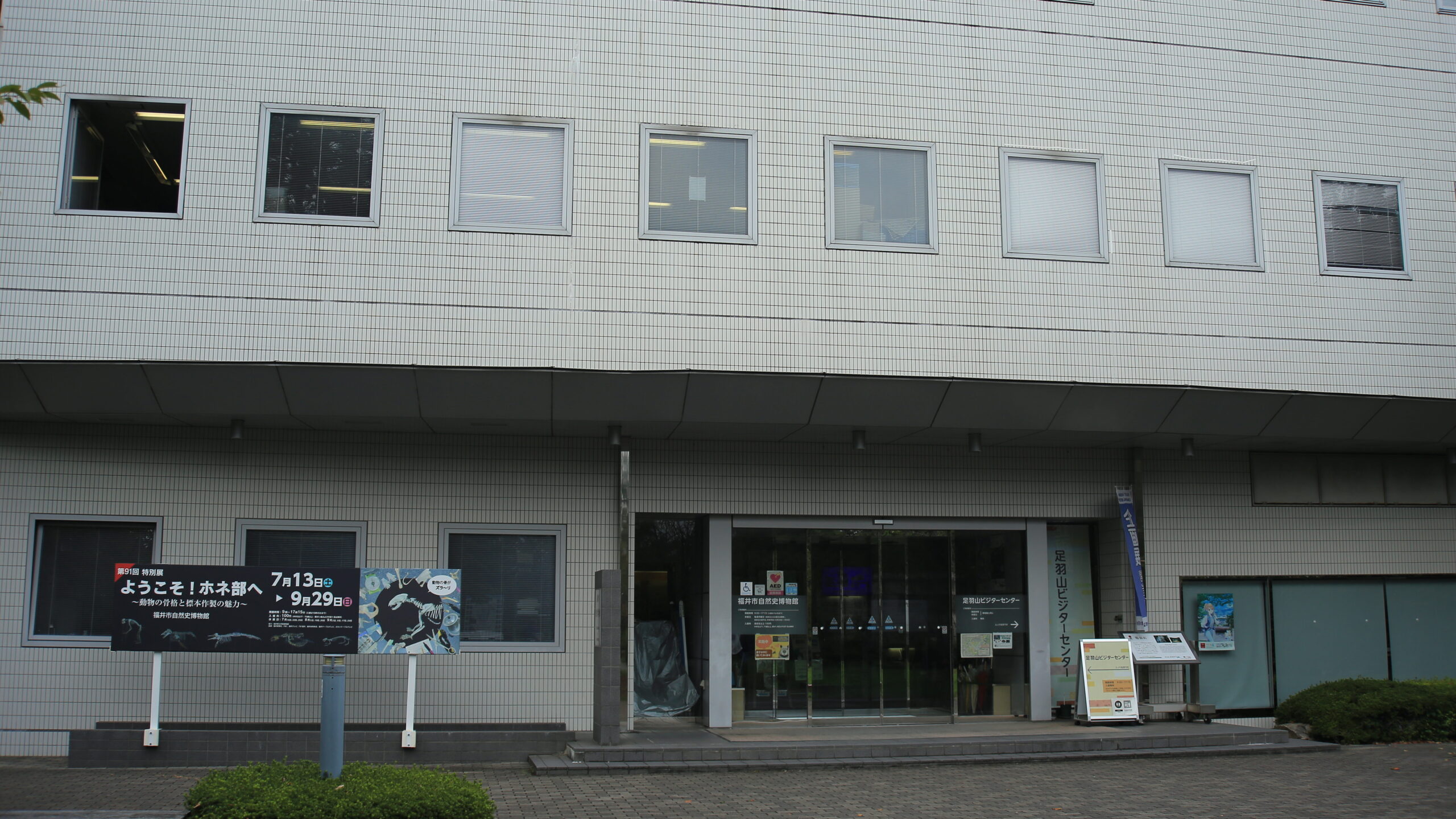 福井市自然史博物館