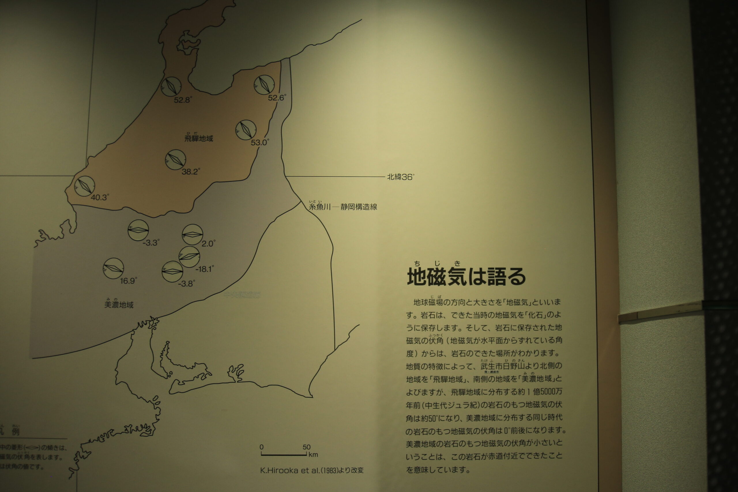 福井市自然史博物館