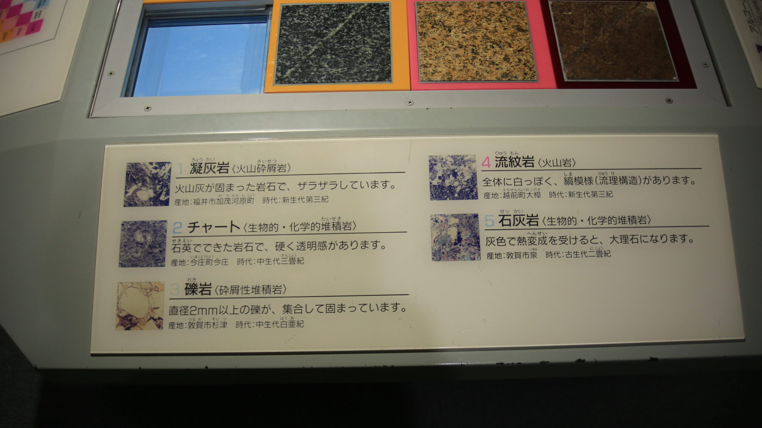 福井市自然史博物館