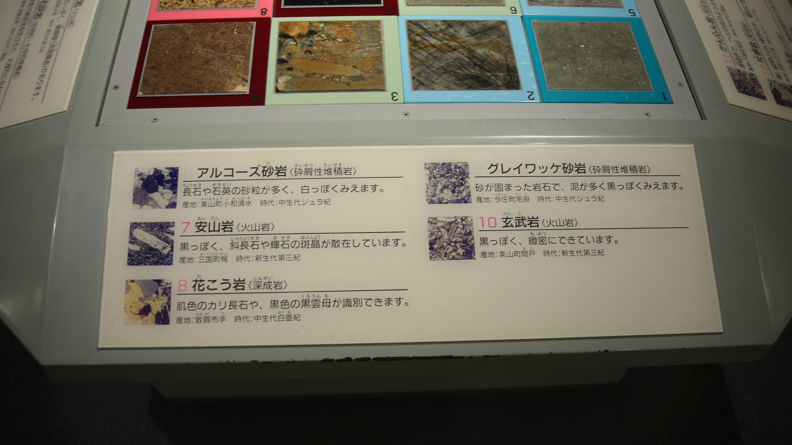 福井市自然史博物館
