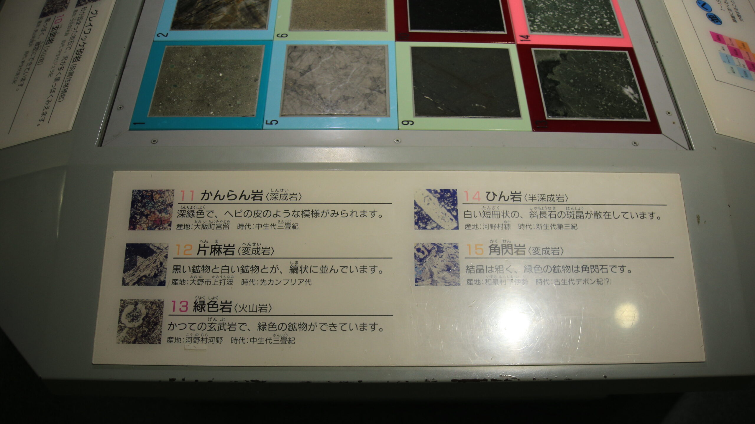 福井市自然史博物館